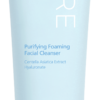 The Skin House Pore Purifying Foaming Facial Cleanser