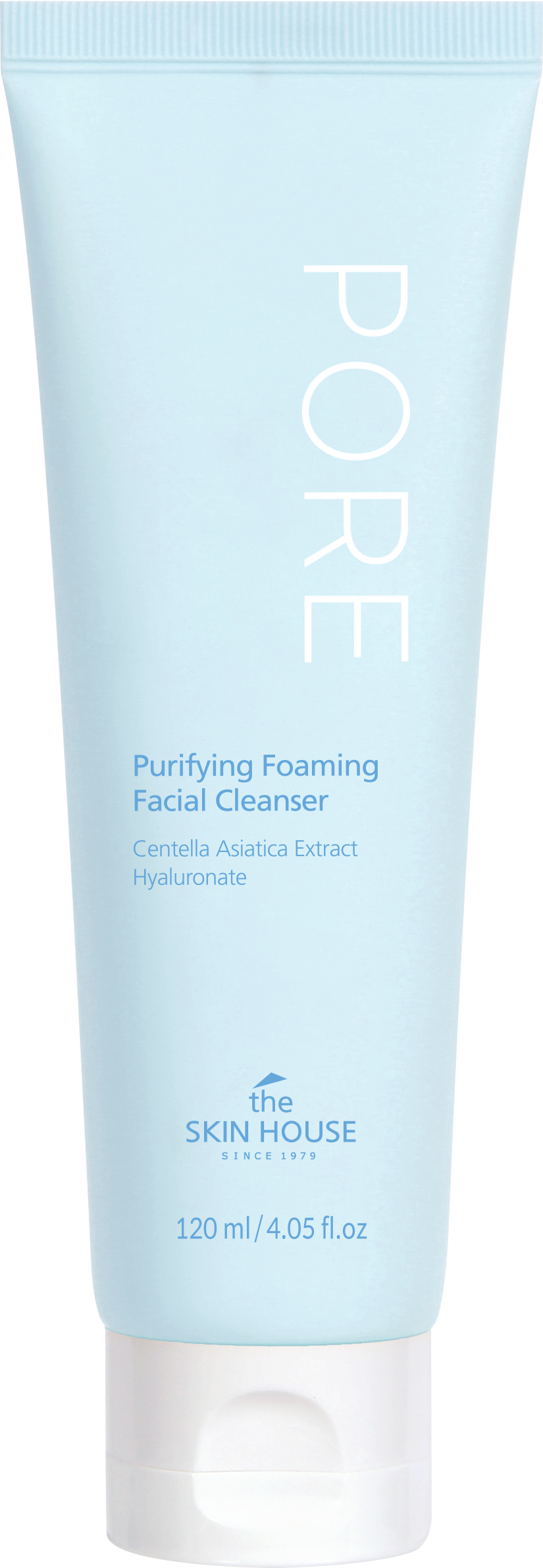 The Skin House Pore Purifying Foaming Facial Cleanser